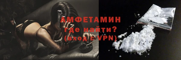 индика Лабытнанги